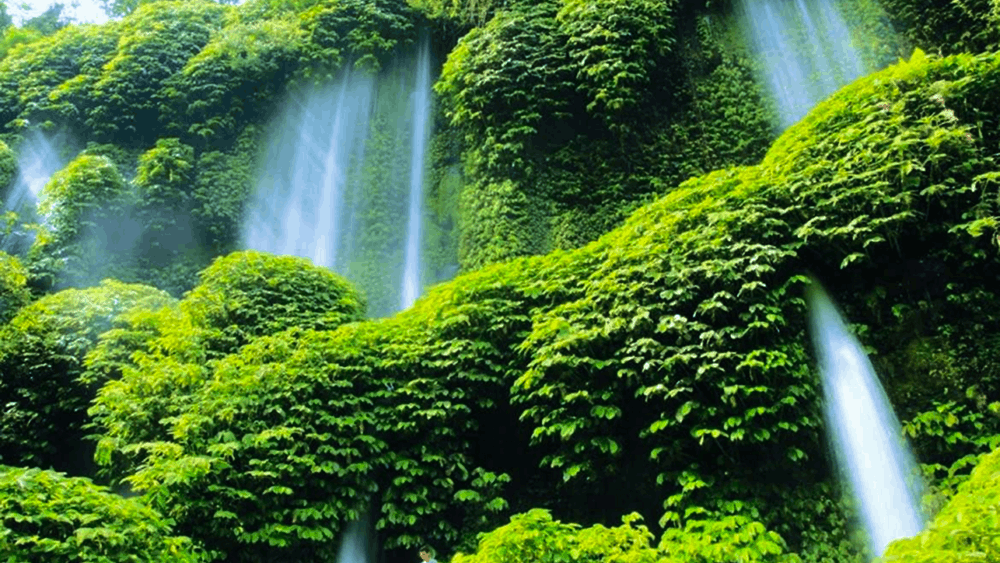 Benang Kelambu Waterfall Lombok: Unique Curtain Waterfall & Nature Guide